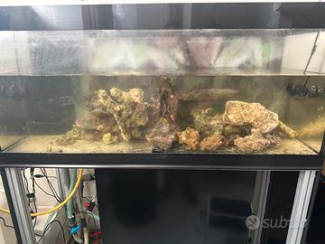 Acquario marino