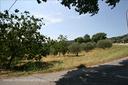 tr72-scrofiano-terreno-in-posizione-coll