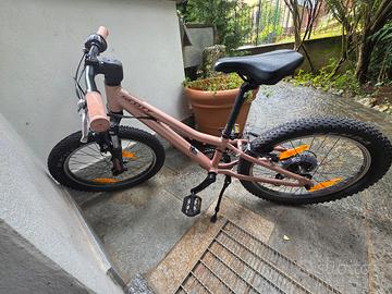 SCOTT ROXTER 20" - Edizione Contessa.