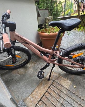 SCOTT ROXTER 20" - Edizione Contessa.