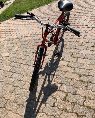 bicicletta