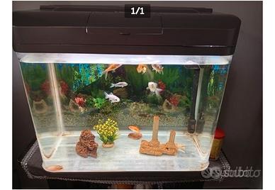 Acquario 60 larghezza ,altezza 50 , spessore 35