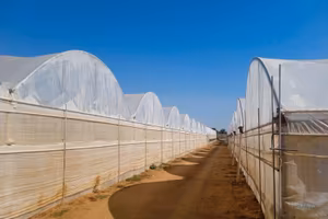 Azienda agricola in buone condizioni