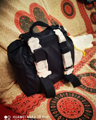 Mandarina duck