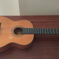 Chitarra acustica Aria Pepe