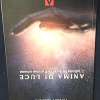 Anima di luce teresa piacentini anima umana