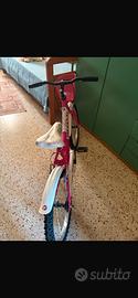 Bicicletta