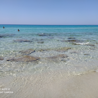 Gallipoli estate 2024