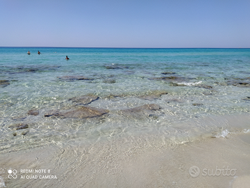 Gallipoli estate 2024