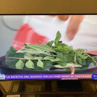 Samsung NU8000 48 4K ROTTA - NON SI ACCENDE !