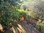 Immagine 27
