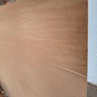 Foglio di compensato Frassino 125x300 1 faccia