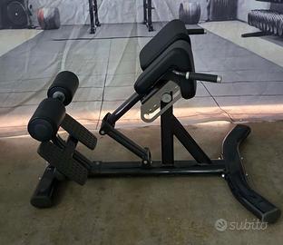 Hyperextension Life Fitness