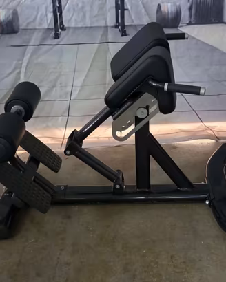 Hyperextension Life Fitness