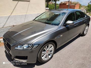 JAGUAR XF 2ª serie (X260) - 2016