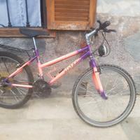 Mountain bike Silver Star