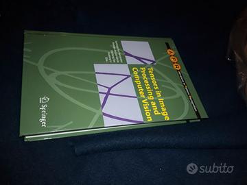 Tensors in Image Processing and Computer Vision