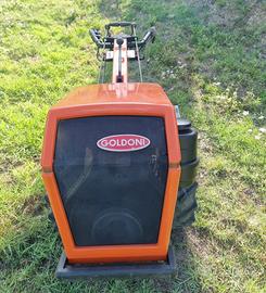 Goldoni 14 cv diesel