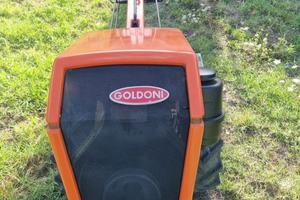 Goldoni 14 cv diesel
