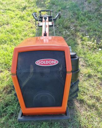 Goldoni 14 cv diesel