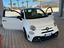 Immagine 11