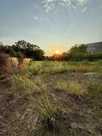Terreno Agricolo Gaeta [V250VCG]