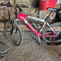 Bici Mountain bike