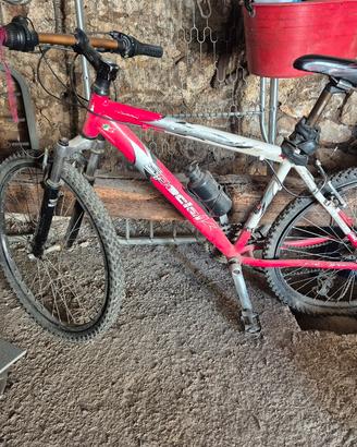 Bici Mountain bike