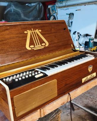 Organo Elettrico Vintage Ariston a Canne d'Aria