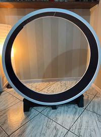 Ruota per gatti