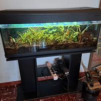 acquario 100 litri