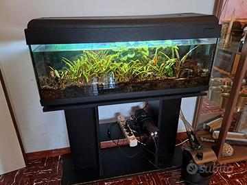 acquario 100 litri