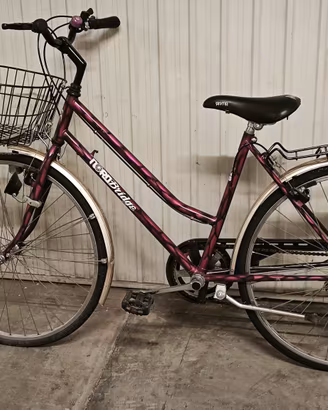 bicicletta donna