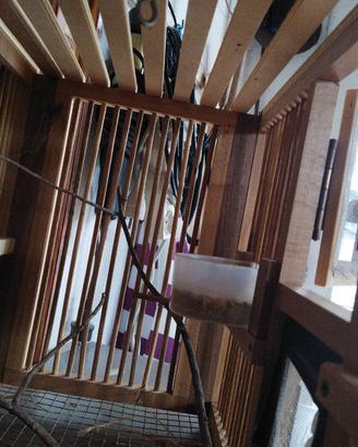 gabbia per uccellini in legno 