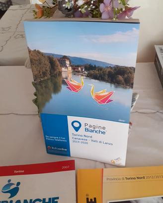 pagine bianche e gialle 