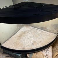 Acquario Juwel Trigon 350 + Supporto