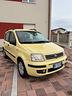 fiat-panda-1-2-alessi