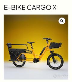e-bike 