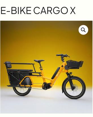 e-bike 