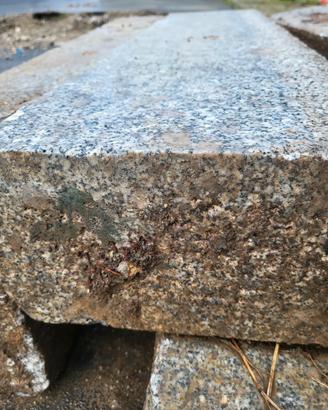 cordoli cemento da 1mt x25x14