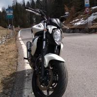 Suzuki SFV Gladius 650 - 2012