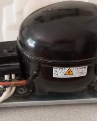 Motore compressore Frigo 