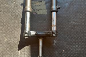 Piastra di sterzo e forcelle silver wing