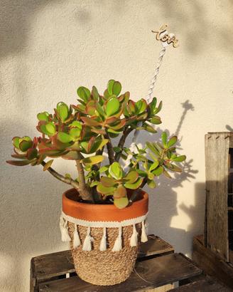 Albero di giada con decorazione in macramè 