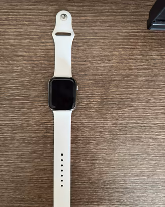 Apple Watch Series 7 45mm Acciaio LEGGERE BENE