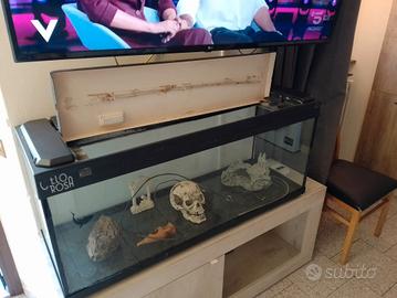 acquario 240 litri