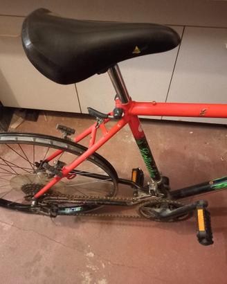 bici bottecchia ricambi