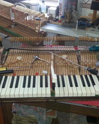 pianoforti organi Accordature/ meccaniche 