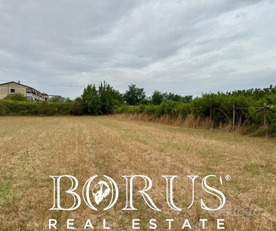 Terreno agricolo di 4015 mq zona Casignano BR254 - Vista 6