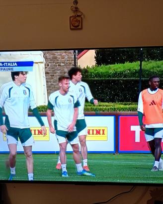 TV TCL Q LED 55 pollici